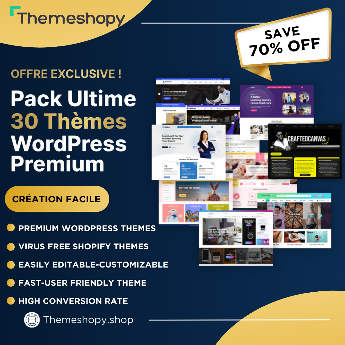 PACK 30 THÈMES WORDPRESS PREMIUM